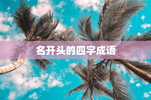 名开头的四字成语
