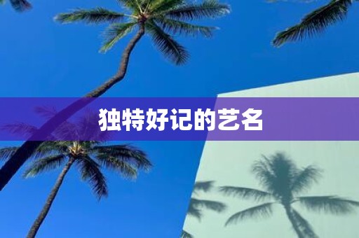 独特好记的艺名