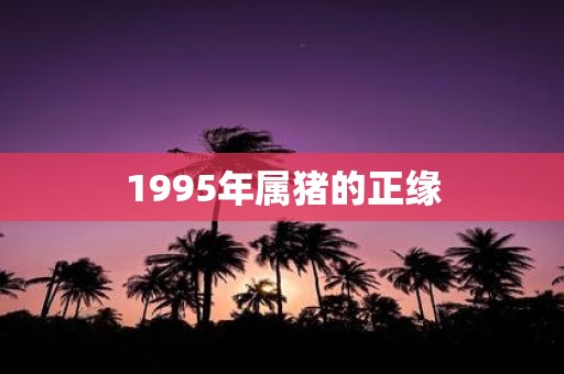 1995年属猪的正缘