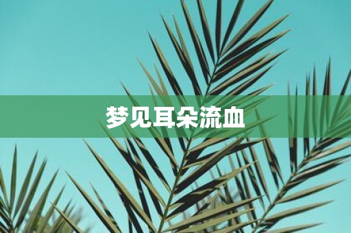 梦见耳朵流血