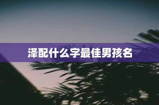 泽配什么字最佳男孩名