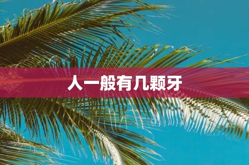 人一般有几颗牙