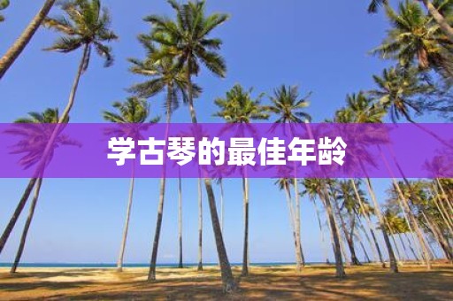 学古琴的最佳年龄