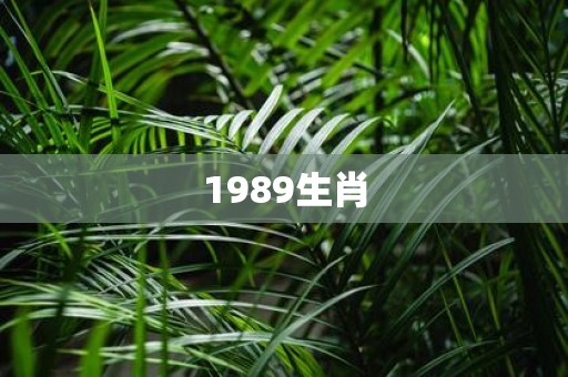 1989生肖
