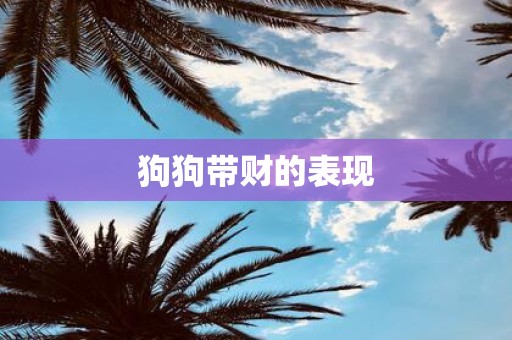 狗狗带财的表现 狗狗带财的表现