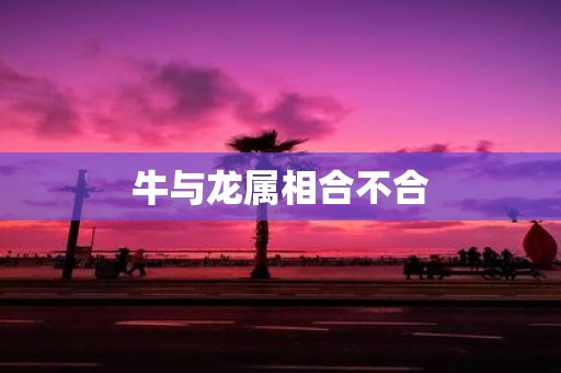 牛与龙属相合不合