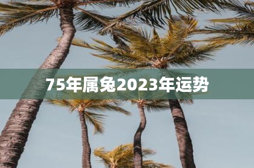 75年属兔2025年运势