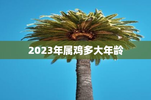 2025年属鸡多大年龄