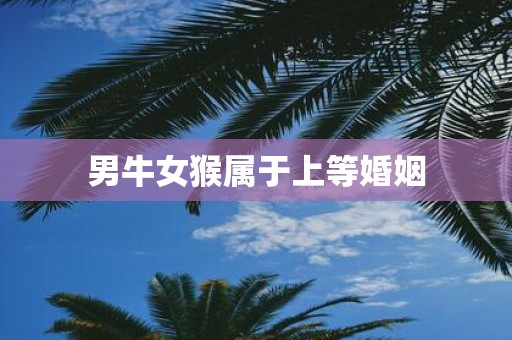 男牛女猴属于上等婚姻