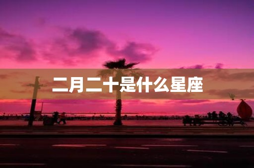 二月二十是什么星座