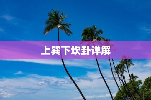 上巽下坎卦详解