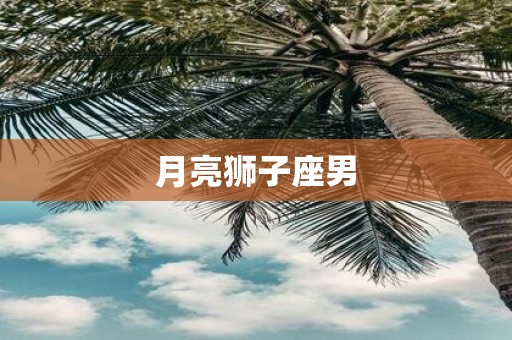 月亮狮子座男