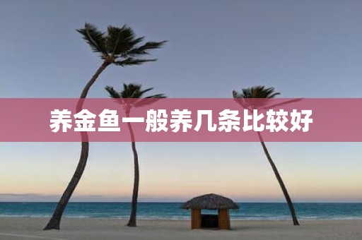 养金鱼一般养几条比较好