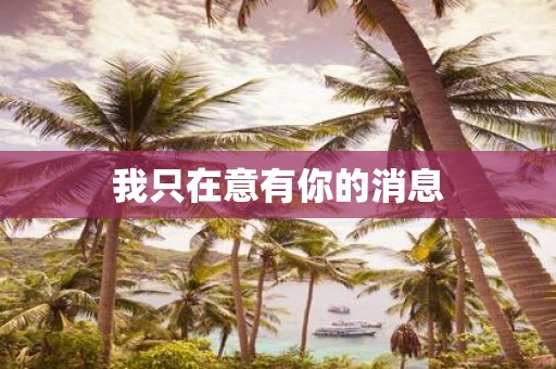 我只在意有你的消息