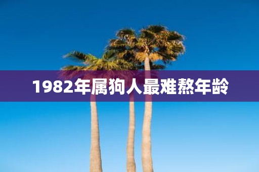 1982年属狗人最难熬年龄