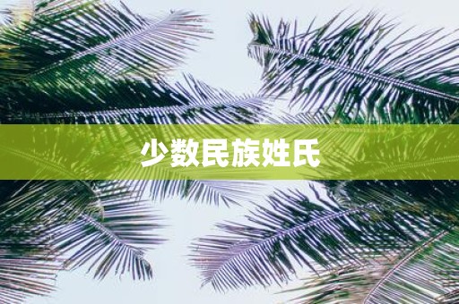少数民族姓氏
