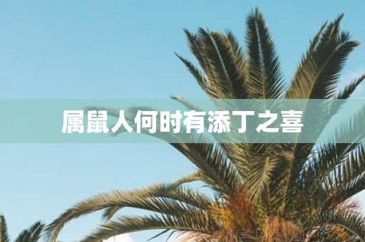 属鼠人何时有添丁之喜