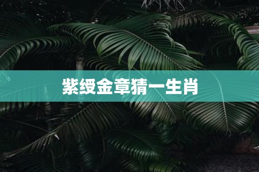 紫绶金章猜一生肖