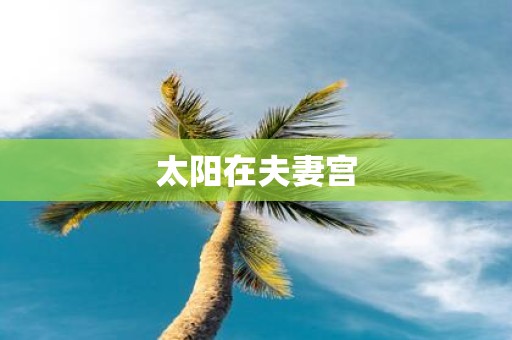 太阳在夫妻宫