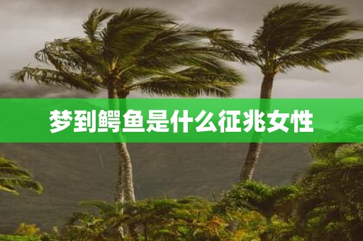 梦到鳄鱼是什么征兆女性