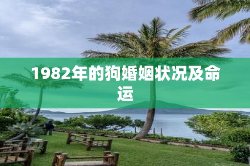 1982年的狗婚姻状况及命运