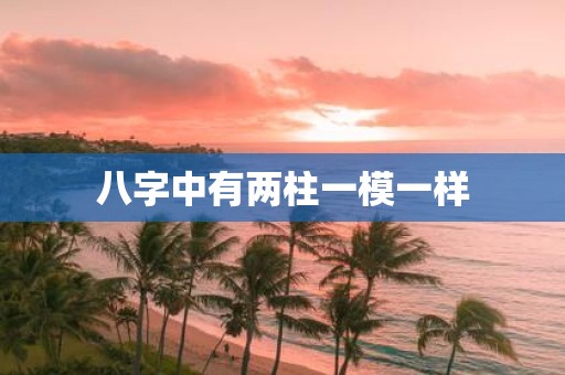 八字中有两柱一模一样
