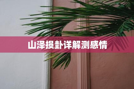 山泽损卦详解测感情