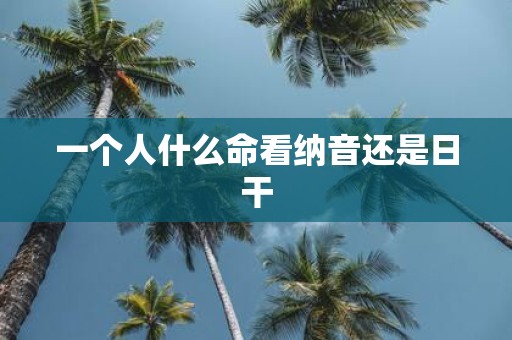 一个人什么命看纳音还是日干