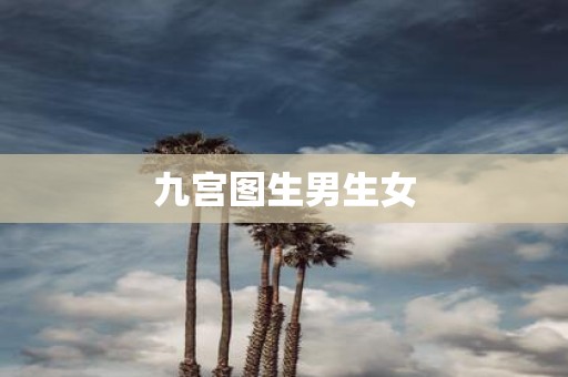 九宫图生男生女