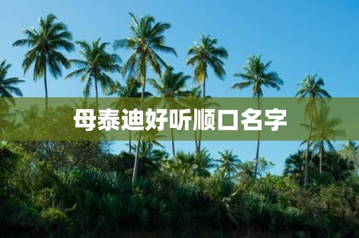 母泰迪好听顺口名字