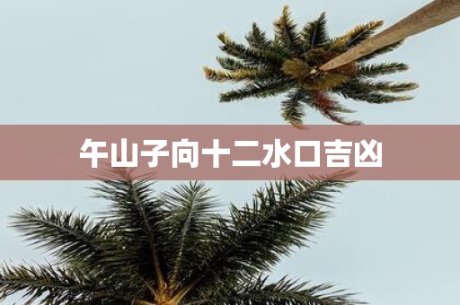 午山子向十二水口吉凶