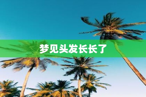 梦见头发长长了