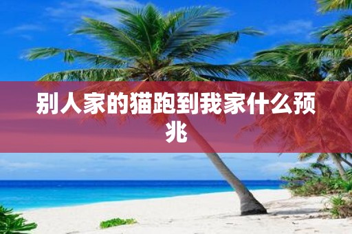 别人家的猫跑到我家什么预兆