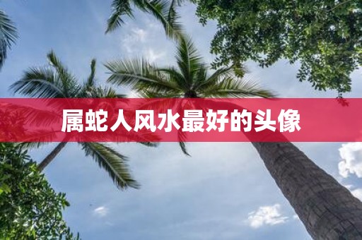 属蛇人风水最好的头像