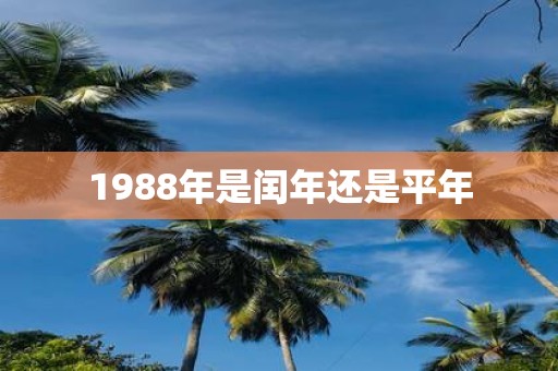 1988年是闰年还是平年