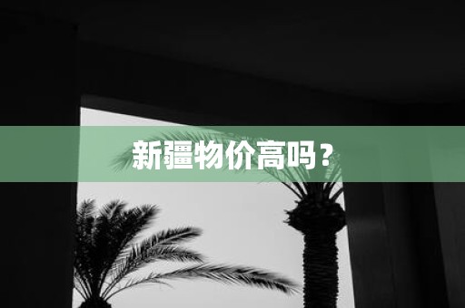 新疆物价高吗？