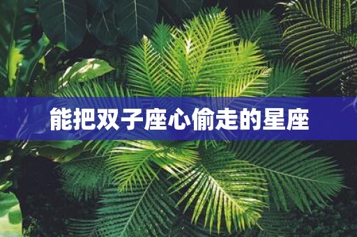 能把双子座心偷走的星座