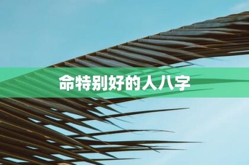 命特别好的人八字