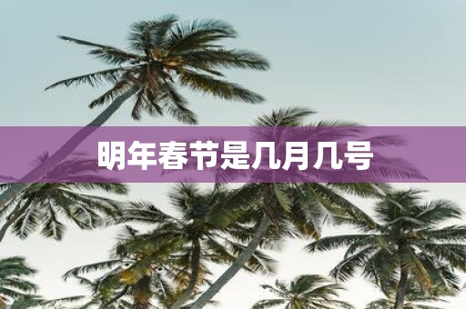 明年春节是几月几号