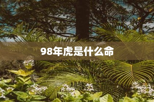 98年虎是什么命