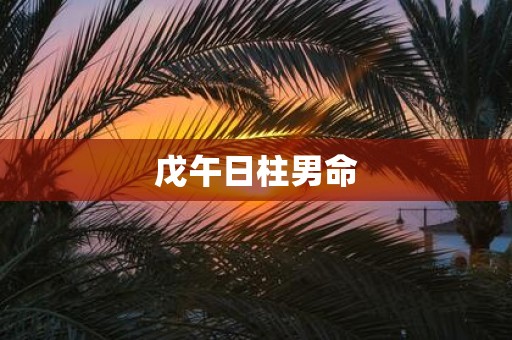 戊午日柱男命