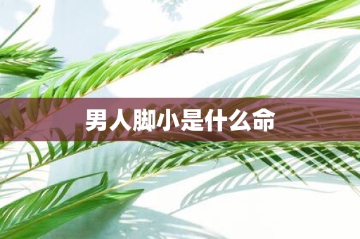 男人脚小是什么命