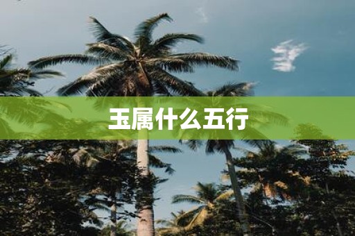 玉属什么五行