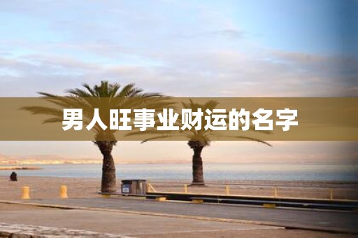 男人旺事业财运的名字