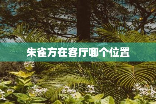 朱雀方在客厅哪个位置