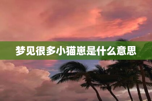梦见很多小猫崽是什么意思