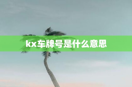 kx车牌号是什么意思