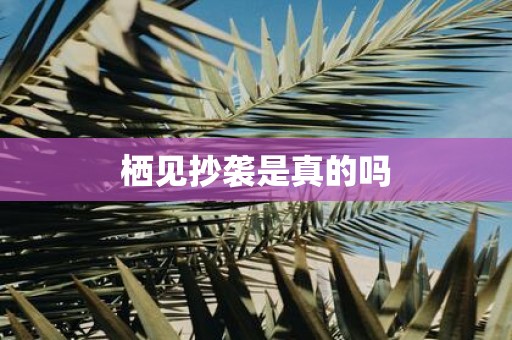 栖见抄袭是真的吗