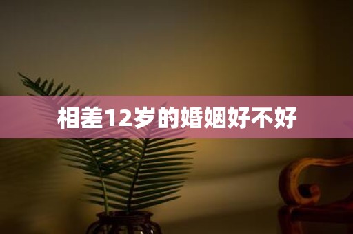 相差12岁的婚姻好不好