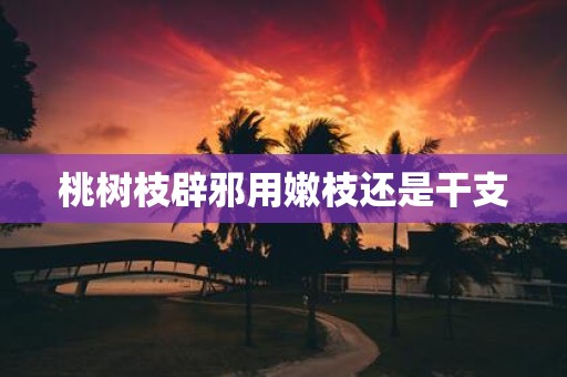 桃树枝辟邪用嫩枝还是干支